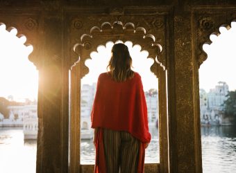 What are the roles of Businesses Based on Indian Heritage