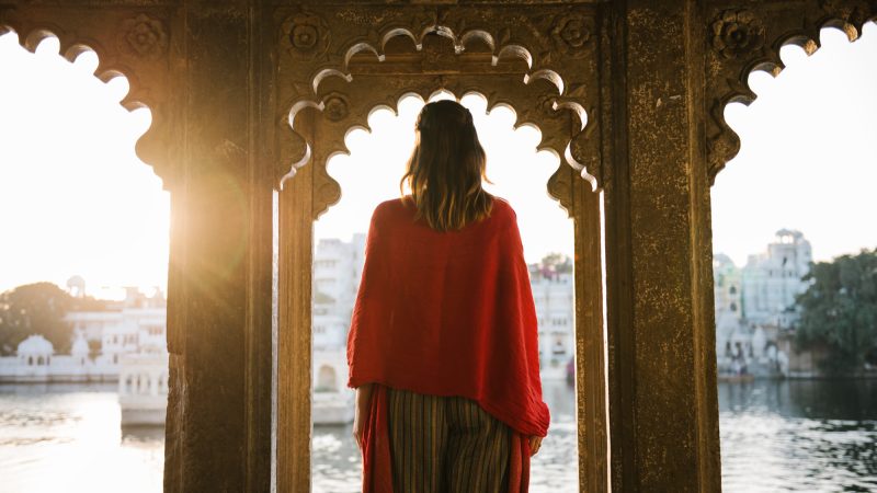 What are the roles of Businesses Based on Indian Heritage